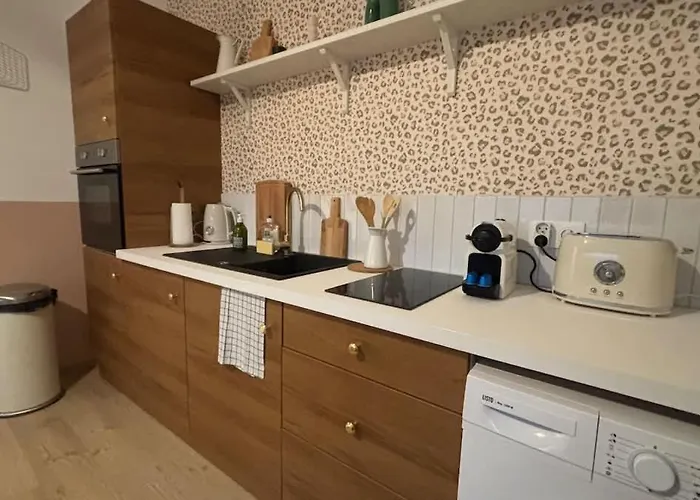 Quiet&central, 6p Fully Equipped Appartement Arras